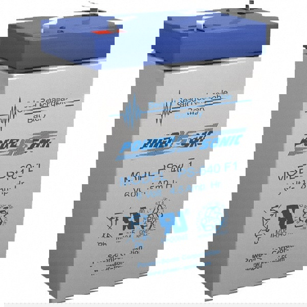 Rechargeable Lead Battery: 6V, Quick-Disconnect Terminal